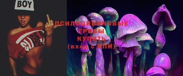 соль ск Алексеевка