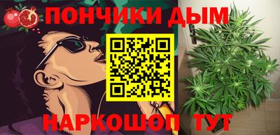 прущие крисы Нальчик