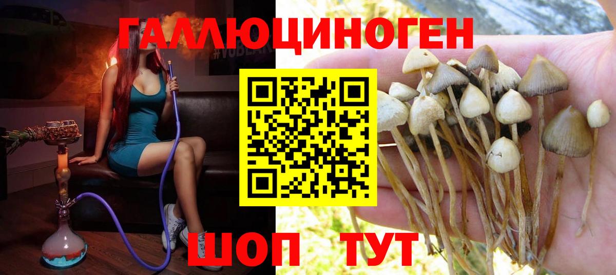 Галлюциногенные грибы мухоморы  Вход с VPN  Феодосия 